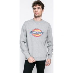 Bejsbolówki męskie: Dickies - Bluza