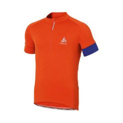 Odlo Koszulka męska Stand-up collar s/s 1/2 zip GAVIA niebiesko-pomarańczowa r. M (410892). Brązowe koszulki sportowe męskie Odlo, m. Za 289,95 zł.