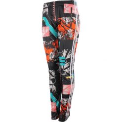 Spodnie dresowe damskie: spodnie sportowe damskie ADIDAS FIREBIRD TRACK PANTS / AJ8451