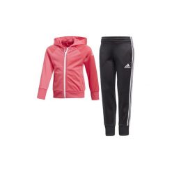 Spodnie dresowe dziewczęce: Zestawy dresowe adidas Dres Little Girls Knitted