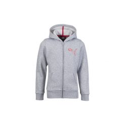 Bluzy chłopięce: Bluza z kapturem PUMA