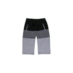 Szorty męskie sportowe. Szare spodenki sportowe męskie TXM, z dresówki, sportowe. Za 19,99 zł.