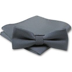 Elegancka Mucha Męska - Alties - Granatowa w Białe Kwadraciki MUALTS0161. Białe muszki męskie Alties, na imprezę, w paski, eleganckie. Za 39,00 zł.