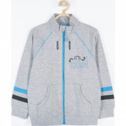 Bluza. Szare bluzy chłopięce rozpinane COOL ROBOTS, z aplikacjami, z bawełny. Za 75,90 zł.