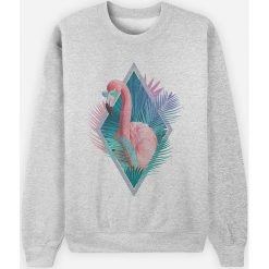 Bluza "Tropical Vibes" w kolorze szarym. Szare bluzy damskie Wooop, m, bez wzorów, bez rękawów, bez kaptura. W wyprzedaży za 87,95 zł.