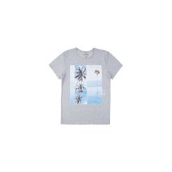 T-shirt krótki rękaw męski z printem. Szare t-shirty męskie TXM, m. Za 14,99 zł.