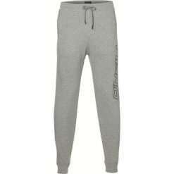 O'Neill Jack's Spodnie dresowe Szary. Szare spodnie męskie O'Neill, s, bez wzorów, z bawełny. Za 274,95 zł.