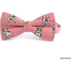 Dogue. Różowa mucha w buldogi. Różowe muszki męskie Pakamera, bez wzorów, z tkaniny, eleganckie. Za 69,00 zł.