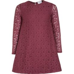 Sukienki dziewczęce: The New ERINA DRESS Sukienka koktajlowa renaissance rose