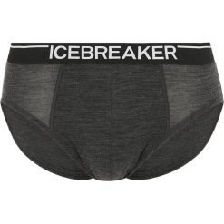 Slipy męskie: Icebreaker ANATOMICA Figi jet heather/black
