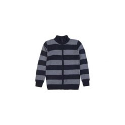Sweter męski rozpinany. Szare kardigany damskie marki TXM, m. Za 31,99 zł.