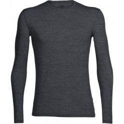 Koszulki sportowe męskie: Icebreaker Koszulka Funkcyjna Mens Anatomica Ls Crewe Jet Hthr/Black/Jet Hthr Xxl