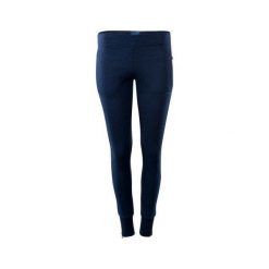 Bryczesy damskie: IGUANA Spodnie damskie Nia W Light Grey Melange r. S