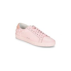 Buty Ash DAZED. Trampki i tenisówki damskie Ash, bez wzorów, bez zapięcia. Za 374,50 zł.