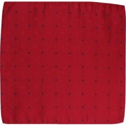 Wyrazista Poszetka Męska w Drobny Rzucik - Alties - Czerwona POSZALTTANIA0015. Czerwone poszetki męskie Alties, bez wzorów, z materiału, eleganckie. Za 16,90 zł.