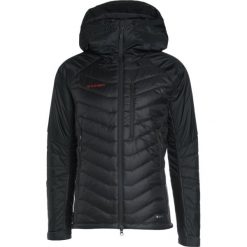 Kurtki sportowe męskie: Mammut RIME PRO IN HOODED Kurtka Outdoor graphite