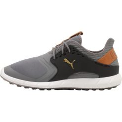 Buty sportowe męskie: Puma Golf IGNITE PWR SPORT Obuwie do golfa quite shade/puma team gold/puma black