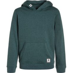 Bluzy chłopięce: Element CORNELL OVERDYE Bluza z kapturem mallard green heather