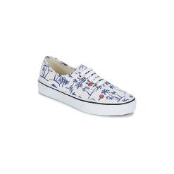 Buty Vans AUTHENTIC. Szare trampki i tenisówki damskie marki Vans, bez wzorów, bez zapięcia. Za 263,20 zł.