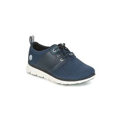 Buty Dziecko Timberland KILLINGTON OX. Niebieskie trampki chłopięce Timberland. Za 287,20 zł.