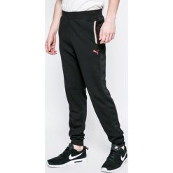 Joggery męskie: Puma – Spodnie