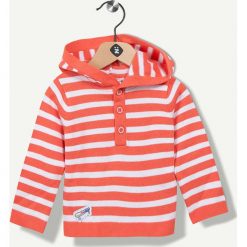 Bluzy niemowlęce: Bluza w kolorze pomarańczowym