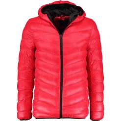 Kurtki męskie bomber: Burton Menswear London GLACIER QUILT Kurtka przejściowa red