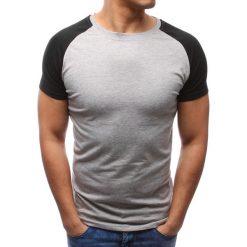 T-shirty męskie: T-shirt męski gładki szary (rx2673)