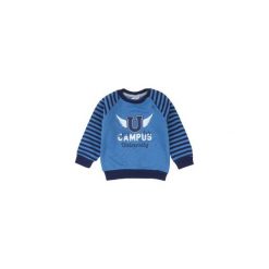 Bluza niemowlęca chłopięca. Szare bluzy niemowlęce marki TXM. Za 9,99 zł.