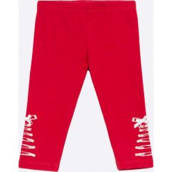 Legginsy dziewczęce: Blukids – Legginsy dziecięce 68-98 cm