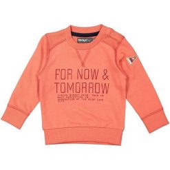 Dirkje Bluza Chłopięca For Now 80 Pomarańczowa. Pomarańczowe bluzy niemowlęce Dirkje, bez wzorów, bez rękawów, bez kaptura. Za 69,00 zł.