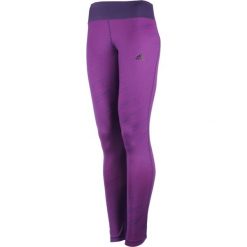 Legginsy: legginsy damskie ADIDAS BASICS LONG TIGHT / AY6228 – ADIDAS BASICS LONG TIGHT
