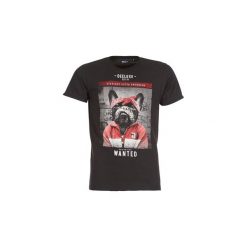 T-shirty z krótkim rękawem Deeluxe BANDIDO. Szare t-shirty męskie marki Deeluxe, xl, bez wzorów, bez kołnierzyka, krótkie. Za 71,20 zł.