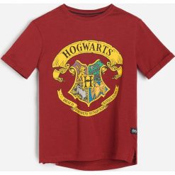 Bawełniany t-shirt Harry Potter - Bordowy. Czerwone t-shirty męskie Reserved, bez wzorów, z bawełny, bez kołnierzyka. Za 45,99 zł.