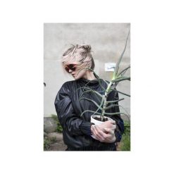 Jacket Black. Czarne kurtki sportowe damskie marki Orientalion, m, bez wzorów, bez kaptura. Za 360,00 zł.