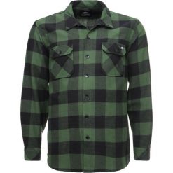 Koszule męskie na spinki: Dickies SACRAMENTO Koszula pine green