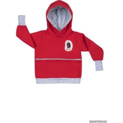 ROJBER HOOD bluza z wielką kieszenią na skarby. Różowe bluzy chłopięce marki Pakamera. Za 149,00 zł.