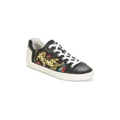 Buty Ash NIAGARA. Czarne trampki i tenisówki damskie Ash, bez wzorów, bez zapięcia. Za 384,50 zł.