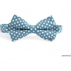 Puntos. Turkusowa mucha w kropki. Niebieskie muchy męskie Pakamera, w kropki, eleganckie. Za 69,00 zł.