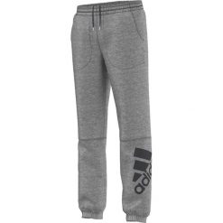 Chinosy chłopięce: Adidas Spodnie dziecięce Locker Room Brand Logo Pant J szary r. 140 cm (AC3253)