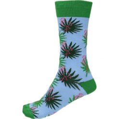 Skarpety unisex. Czarne skarpetki damskie Gino Rossi, z bawełny. Za 19,90 zł.