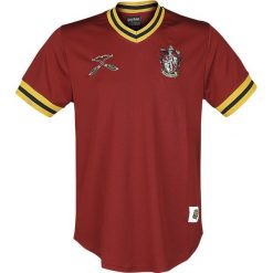 T-shirty męskie: Harry Potter Quidditch - Gryffindor T-Shirt wielokolorowy