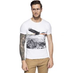 T-shirt STEFANO TSBR000023. T-shirty męskie Giacomo Conti, m, bez wzorów, z bawełny, bez kołnierzyka. Za 79,00 zł.