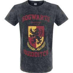 T-shirty męskie z nadrukiem: Harry Potter Hogwarts Quidditch T-Shirt ciemnoszary