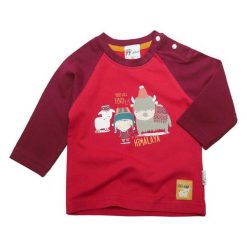 Gelati Bluza Chłopięca Himalaya 74 Czerwona. Czerwone bluzy chłopięce marki Gelati, z nadrukiem. Za 75,00 zł.