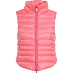Kamizelki damskie: Bogner TIAMI Kamizelka hibiscus