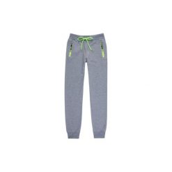 Spodnie damskie sportowe, dresowe. Szare spodnie damskie marki TXM, z dresówki. Za 23,99 zł.