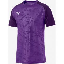 Puma Cup Training Core Koszulka Fioletowy Wielokolorowy. Fioletowe podkoszulki męskie Puma, xl, z nadrukiem, z poliesteru, z krótkim rękawem. Za 119,95 zł.