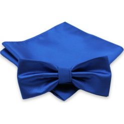 Elegancka mucha i poszetka Alties MUALTS0045. Niebieskie muszki męskie Alties, na imprezę, w paski, eleganckie. Za 40,00 zł.