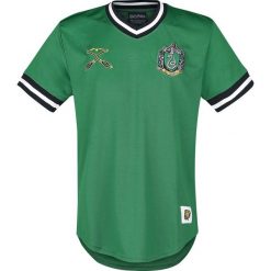 Harry Potter Quidditch - Slytherin T-Shirt wielokolorowy. Zielone t-shirty męskie marki Harry Potter, xxl. Za 99,90 zł.
